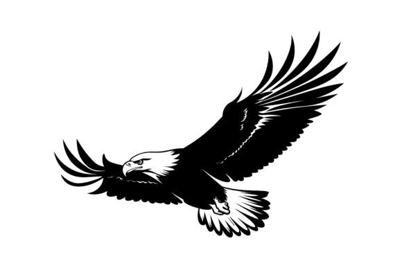 Download Bald Eagle Wings Spread - Eagle wings spread Collection