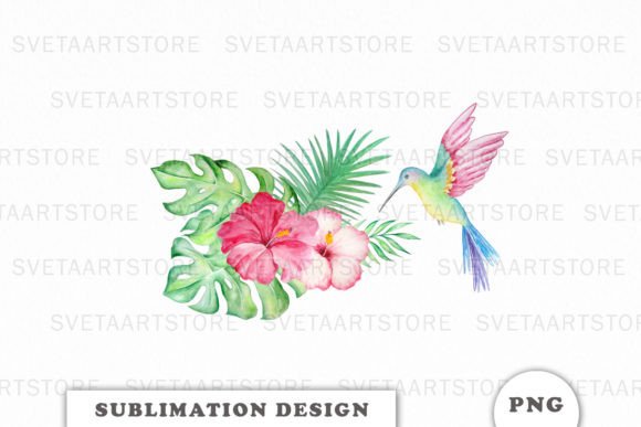 Download Watercolor Tropic Hummingbird Png - Premium Bundle